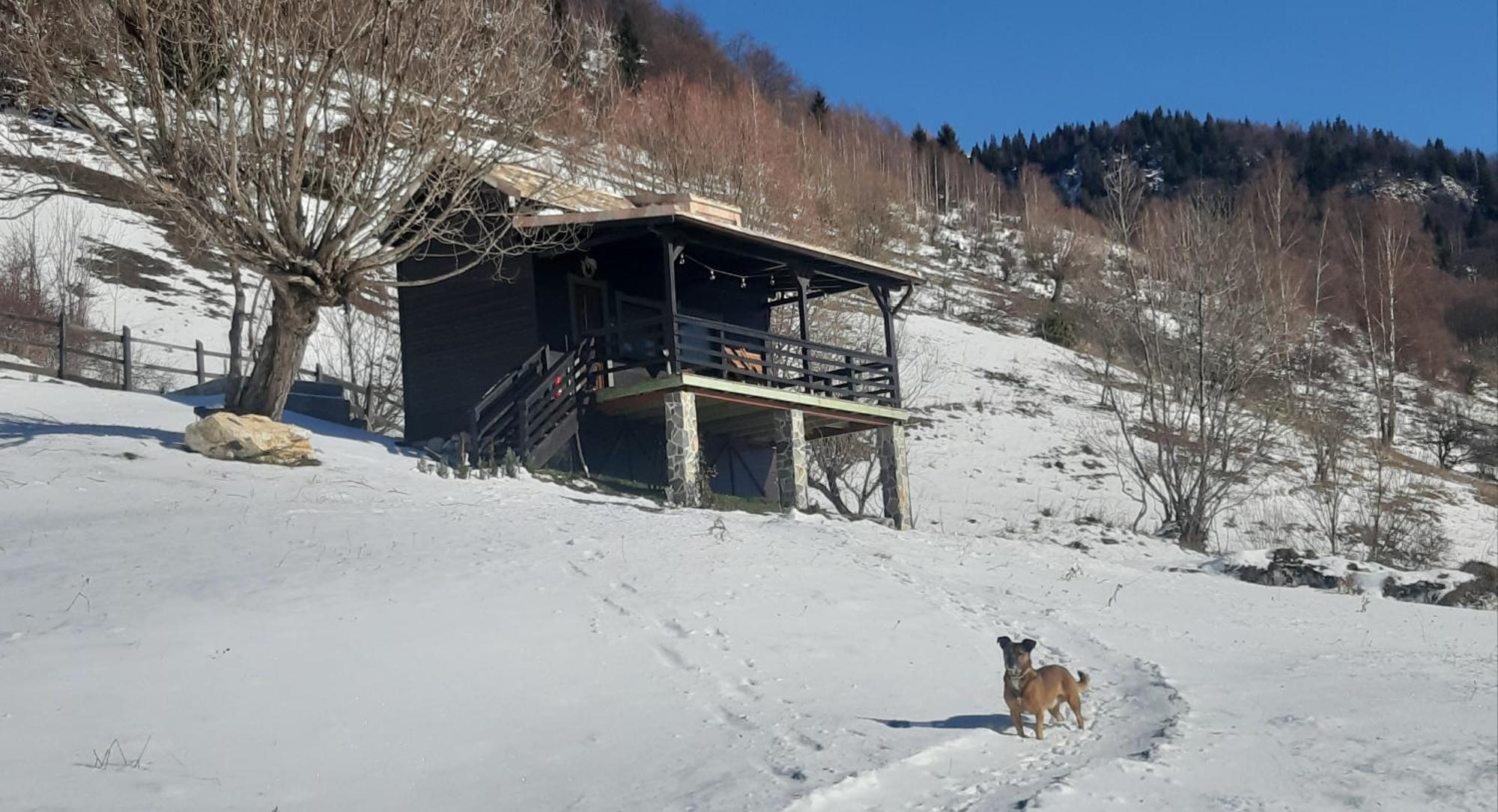 Magura Rustic Tiny House Βίλα Εξωτερικό φωτογραφία